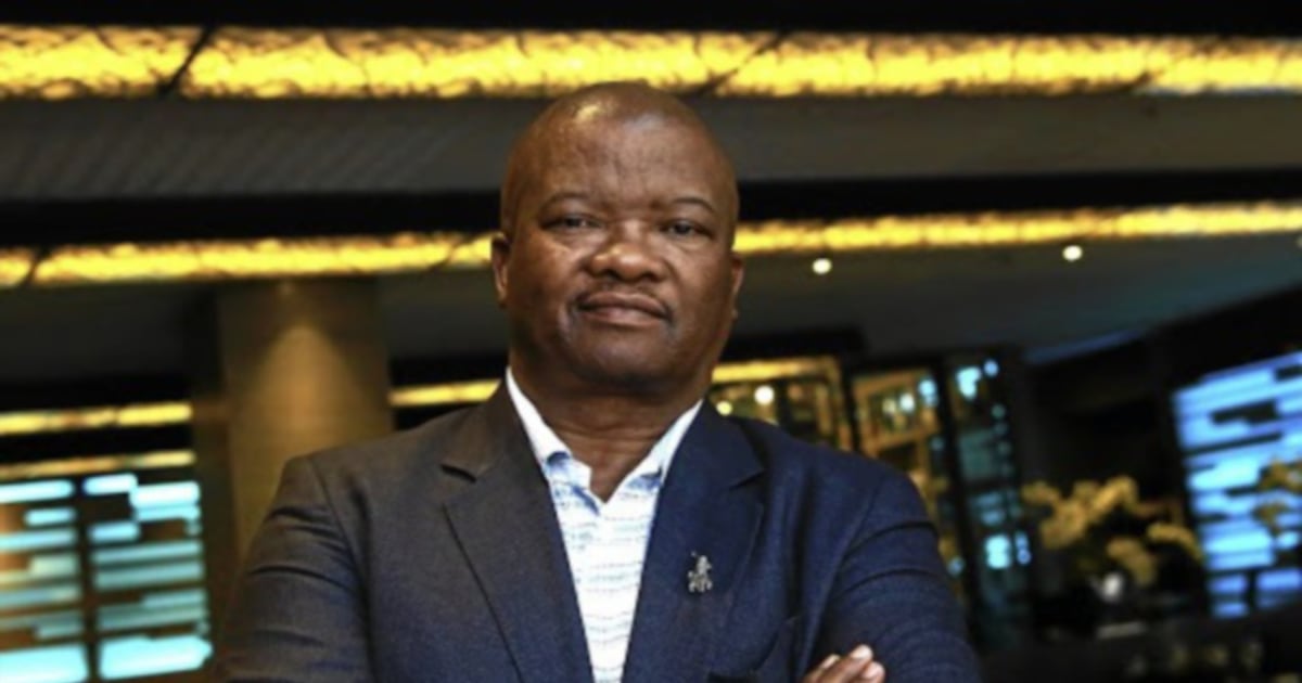 Holomisa proposes strategic public-private partnerships to enhance defense infrastructure