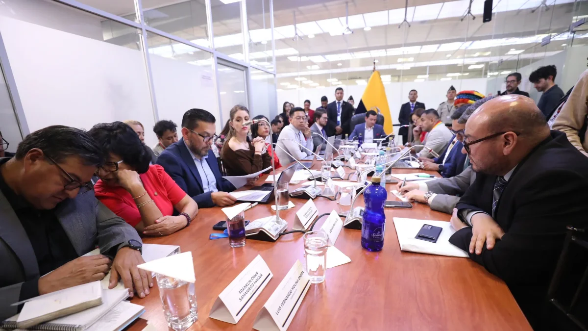 Juicio político a Inés Manzano por omisiones en contratos de emergencia eléctrica