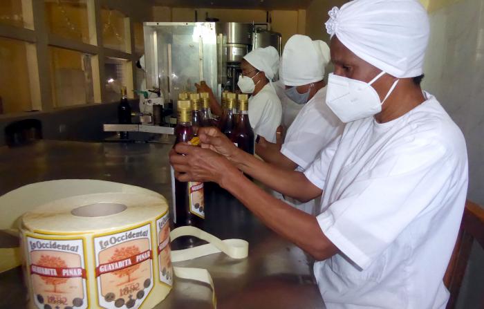 Pinar del Río reanuda exportación de Guayabita del Pinar