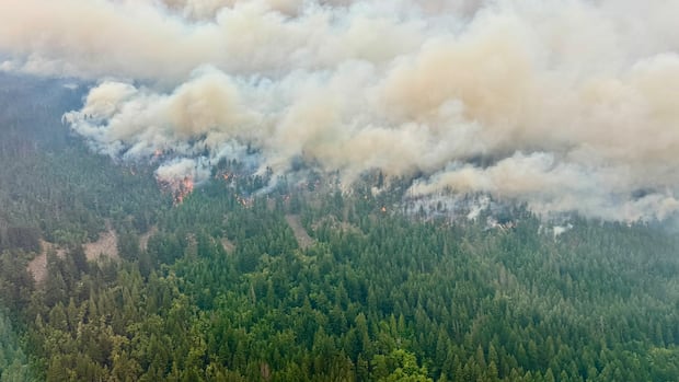 Evacuation Orders Issued for Boston Bar Residents Amid Rapidly Spreading Wildfire
