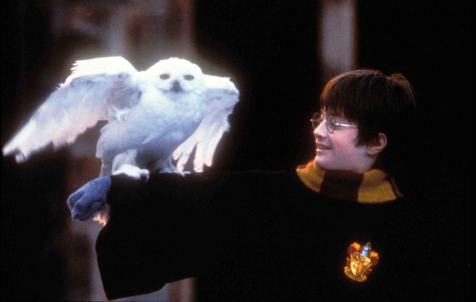 Harry Potter's 25th Anniversary Celebrated with Cinema Screenings and Behind-the-Scenes Footage