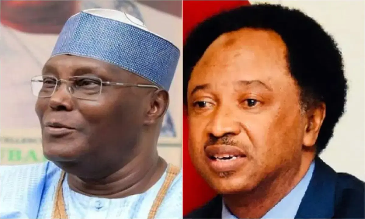 Paul Ibe and Shehu Sani disagree over opposition's US lobbying campaign on Tinubu records