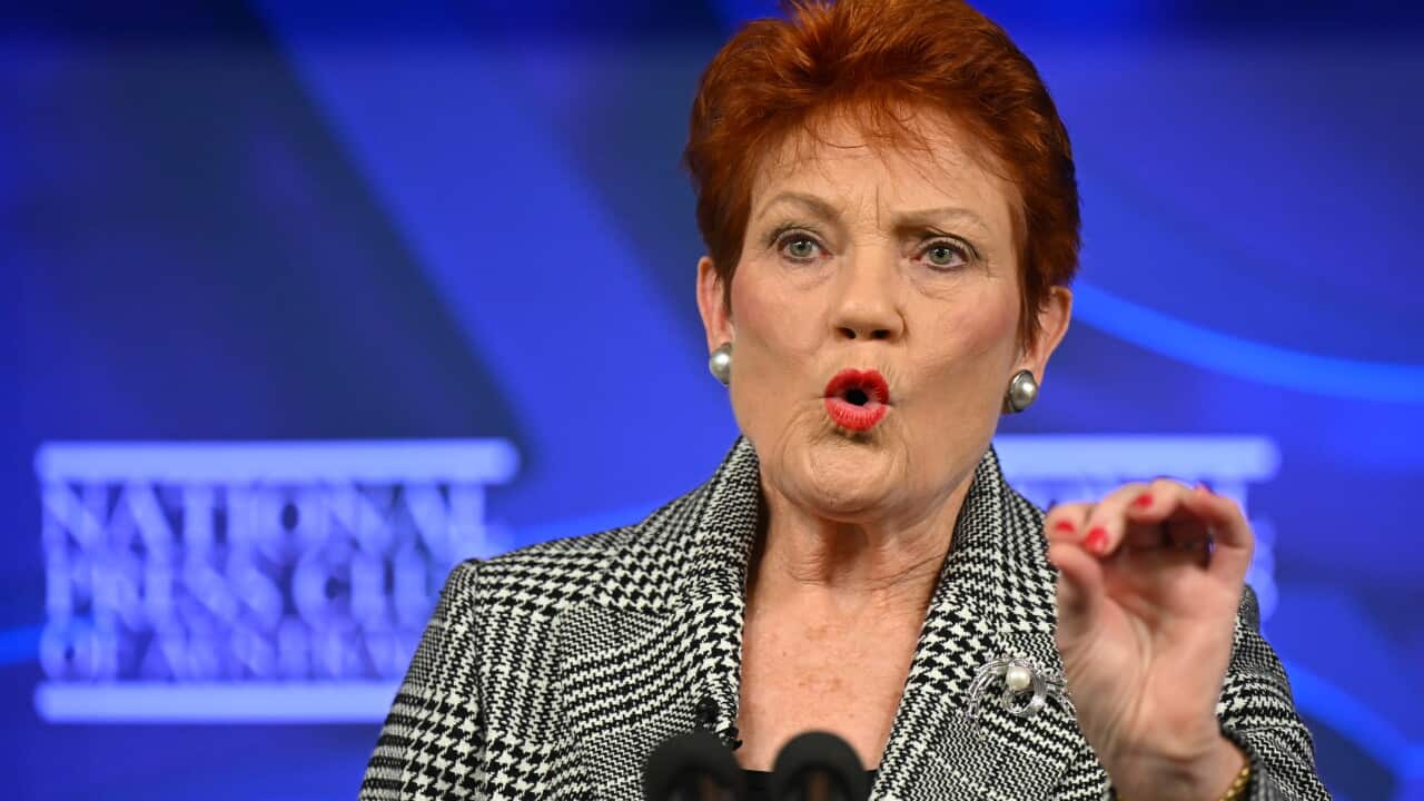 Pauline Hanson Faces Criticism for Downplaying Domestic Violence Comments