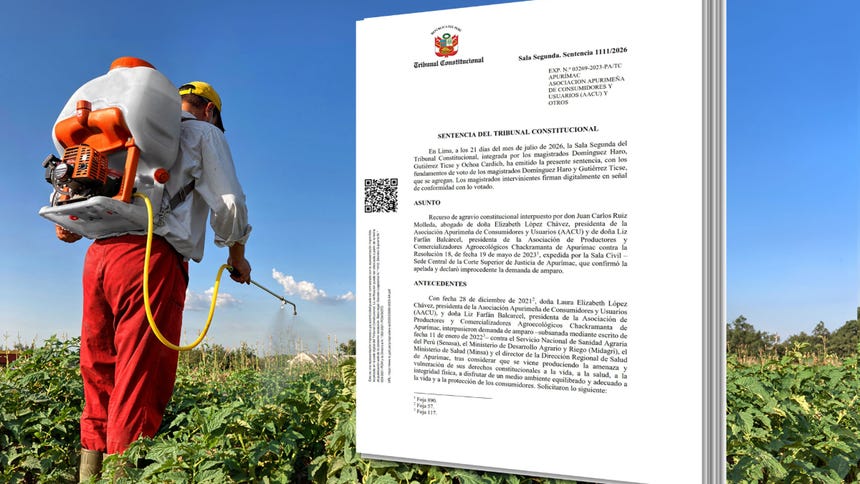 Tribunal Constitucional suspende uso de cinco plaguicidas por riesgos a salud pública