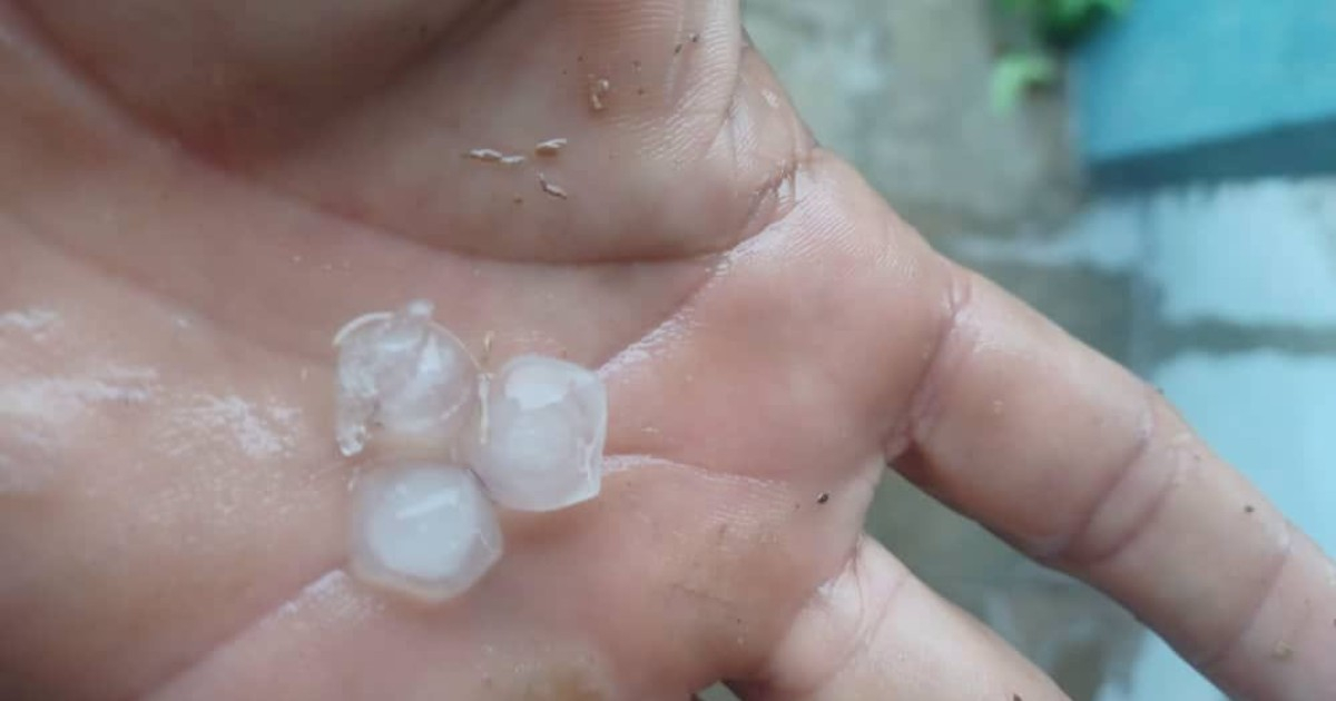 Tormenta severa con granizo causa daños en cultivos de plátano en Pinar del Río