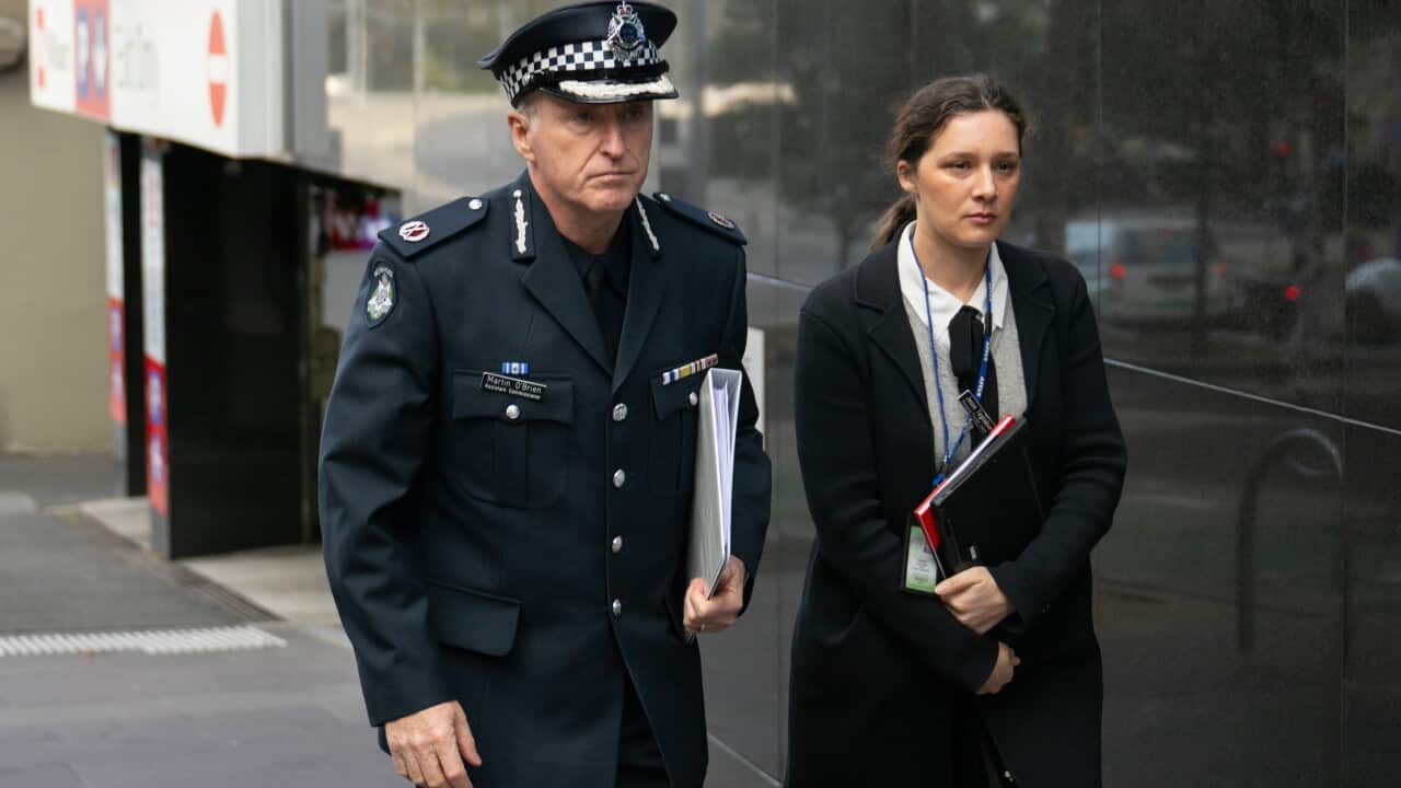 Royal Commission Examines Police Responses, Security Funding, and Antisemitism Concerns in Australia