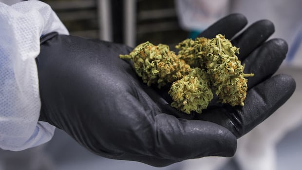 RCMP Investigation Unravels Nationwide Drug Trafficking Network Linked to Vancouver Man
