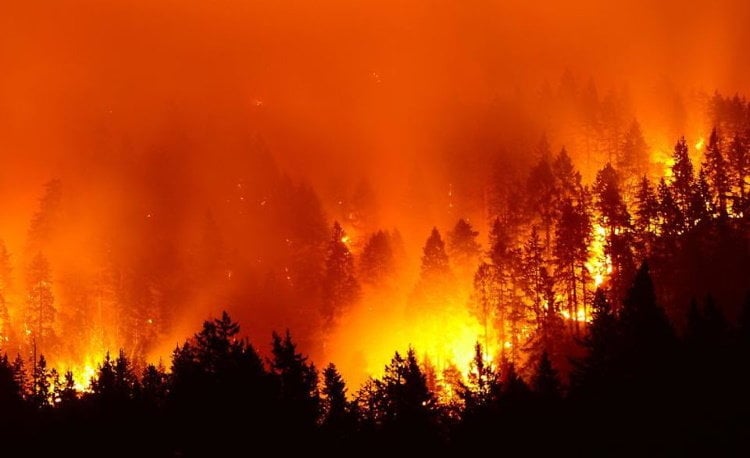 La solidaridad y el Estado frente a los incendios en España