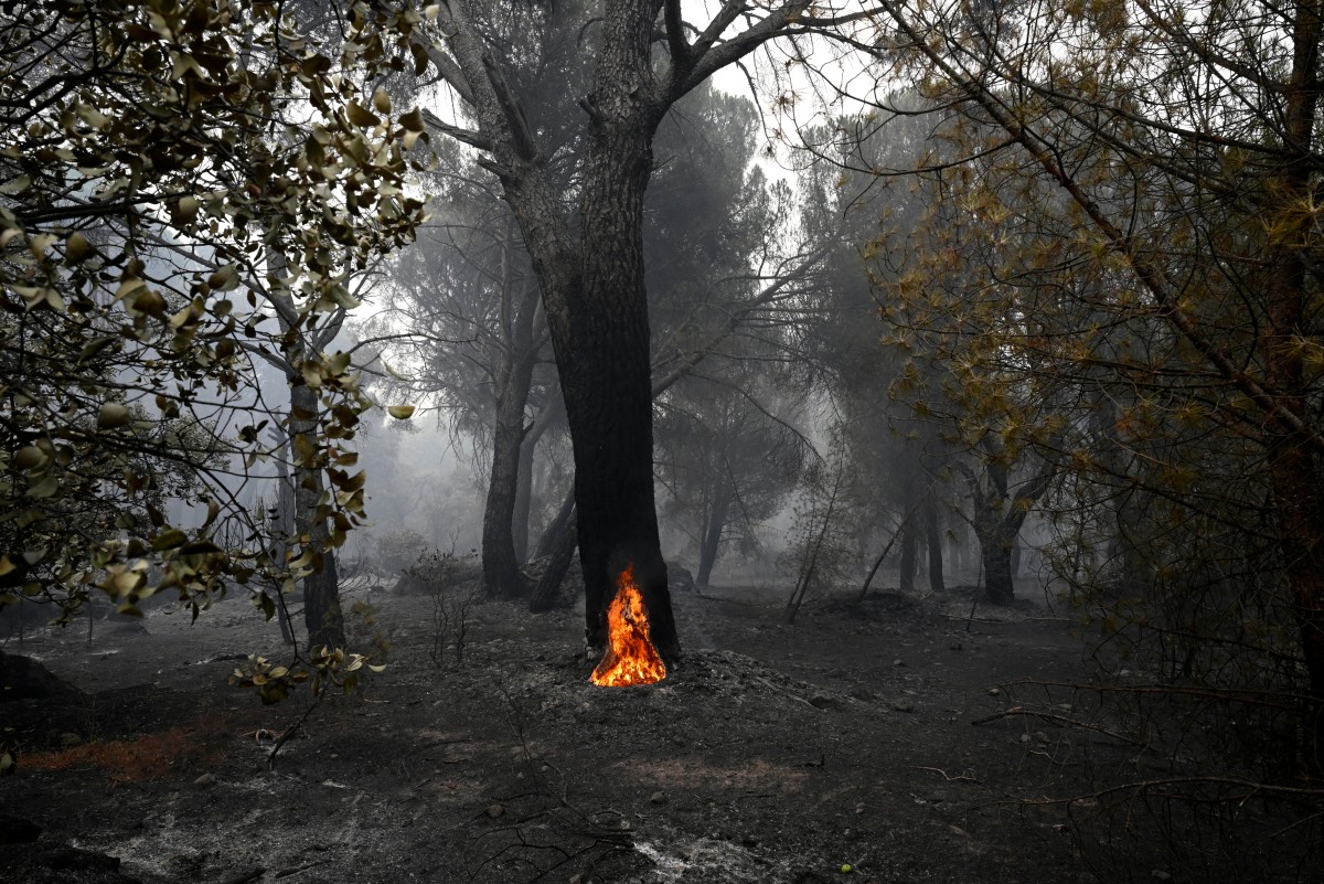 Incendios forestales en España: situación crítica y evacuaciones
