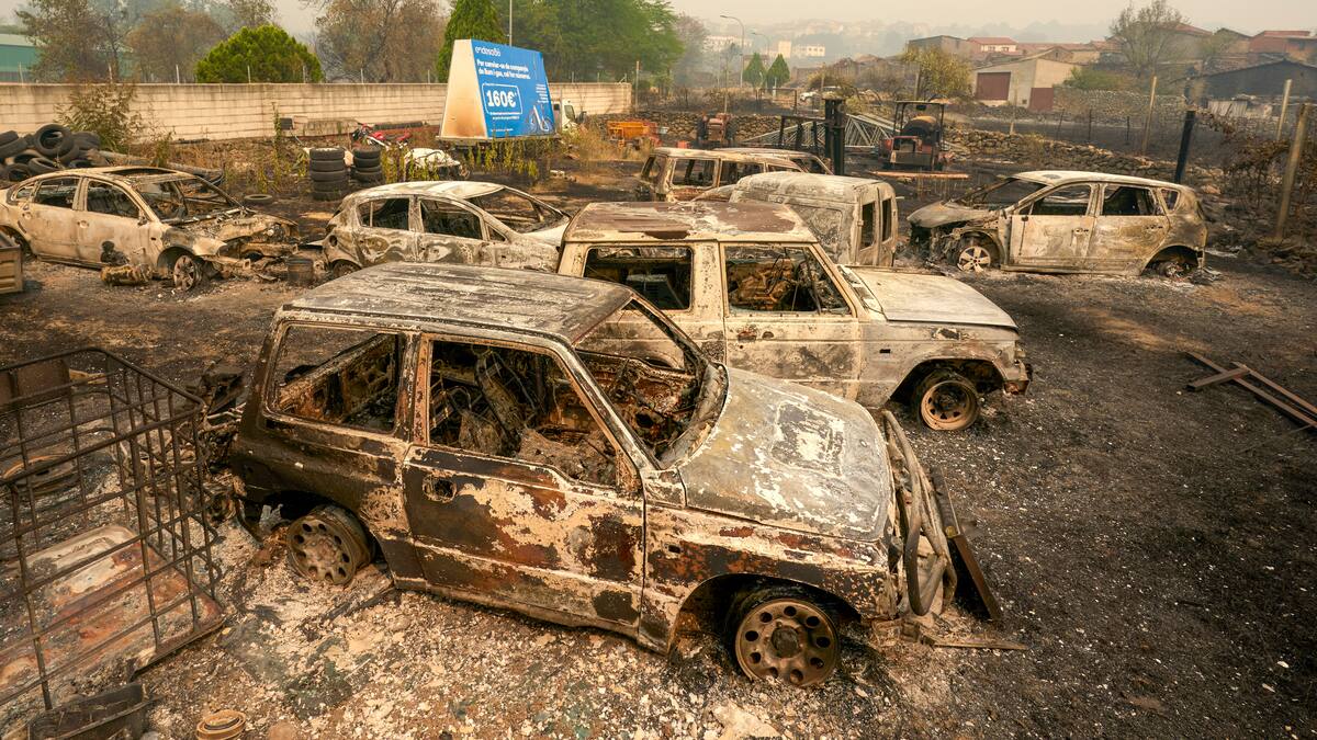 Experto del CSIC analiza medidas para enfrentar la crisis de incendios en España