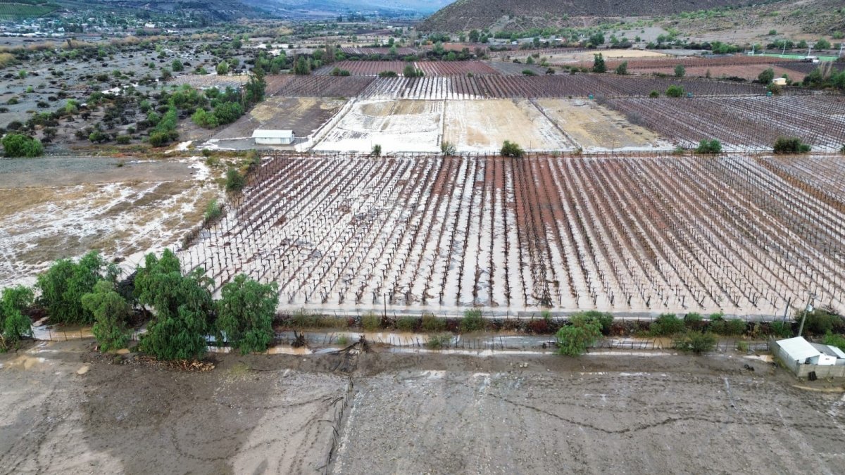 Chile's Agriculture Faces Severe Damage from El Niño and U.S. Tariffs