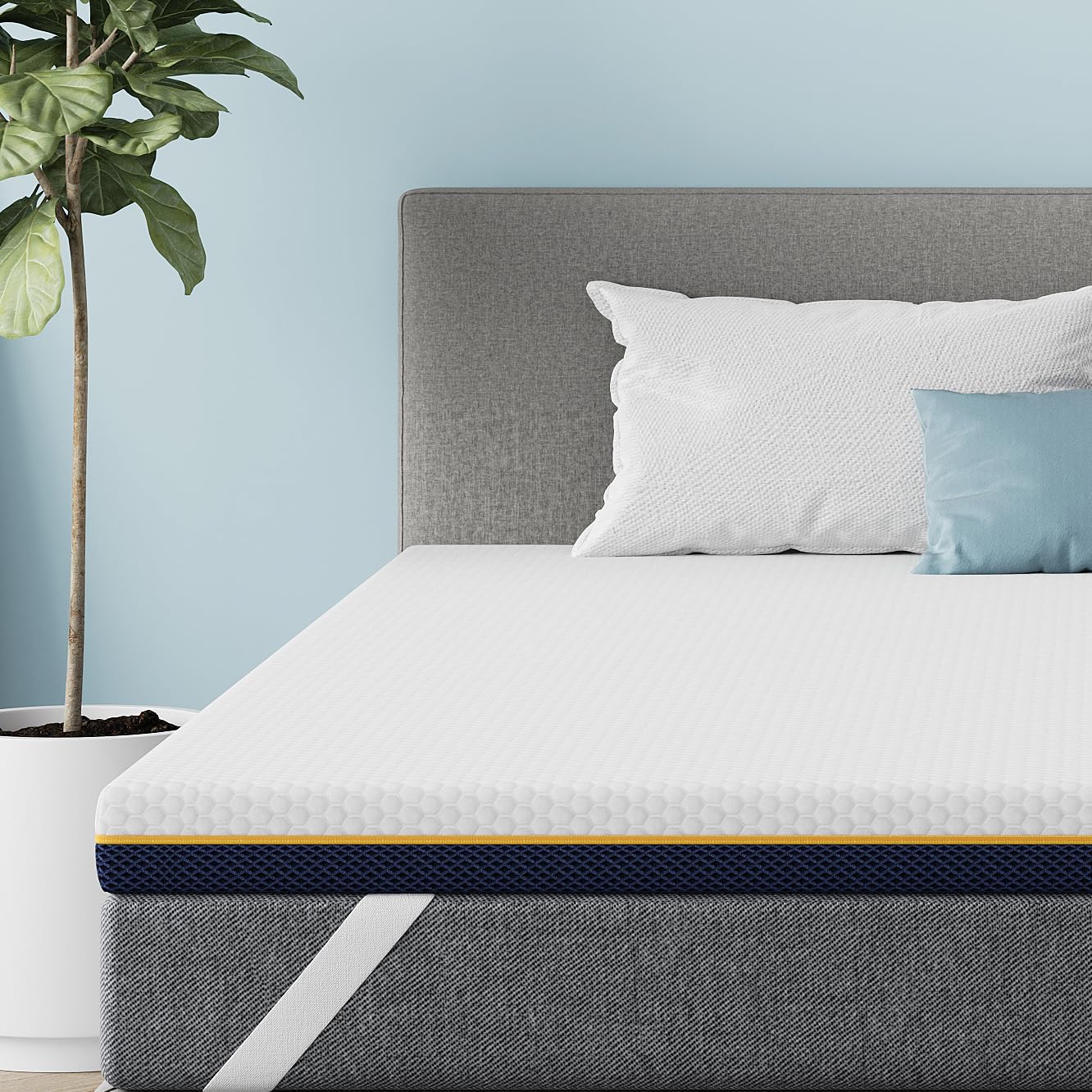 Dewinner Surmatelas Surmatelas