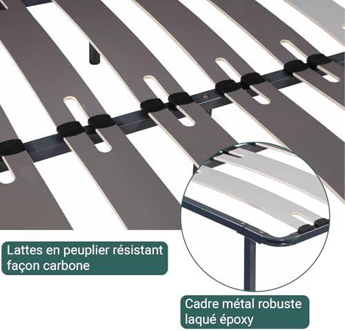 Vue 5 de Sampur Sommier Morpholattes