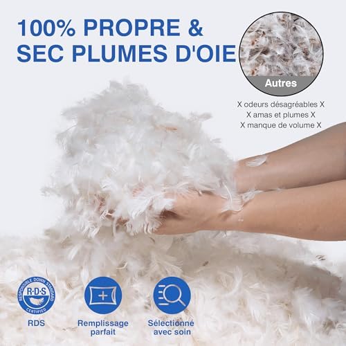 Vue 2 de Tesq Oreiller En Plumes