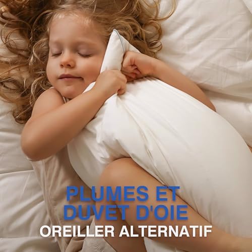 Vue 3 de Tesq Oreiller En Plumes