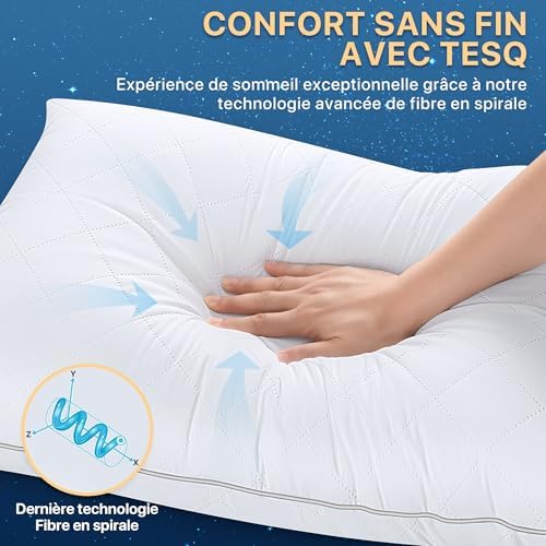 Vue 3 de Tesq Oreiller Cm