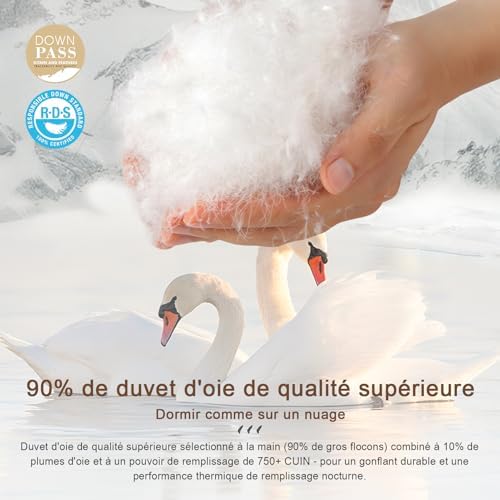 Vue 4 de Kusnug Couette En Duvet