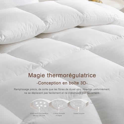 Vue 6 de Kusnug Couette En Duvet