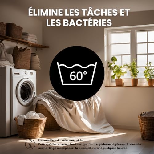 Vue 6 de Dreamway Couette Cm