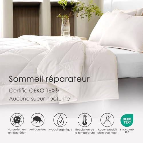 Vue 4 de Homescapes Couette Chaude En