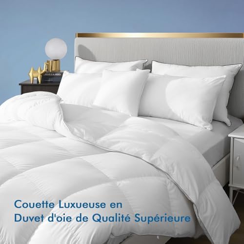Vue 2 de Dafinner Luxe Couette En
