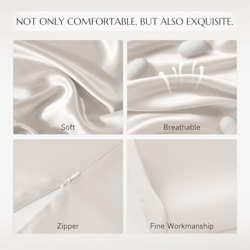 Vue 6 de Thxsilk Taie Doreiller Soie