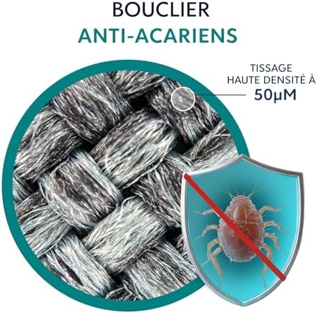 Vue 3 de Dreamzie Lot De Taies