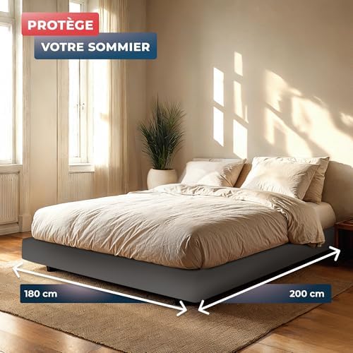 Vue 6 de Wrappybag Cachesommier Avec