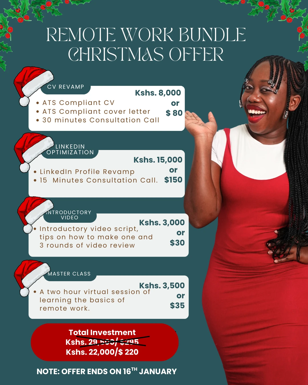 beyond the savannah, Remote Work Starter Bundle Christmas Offer service image