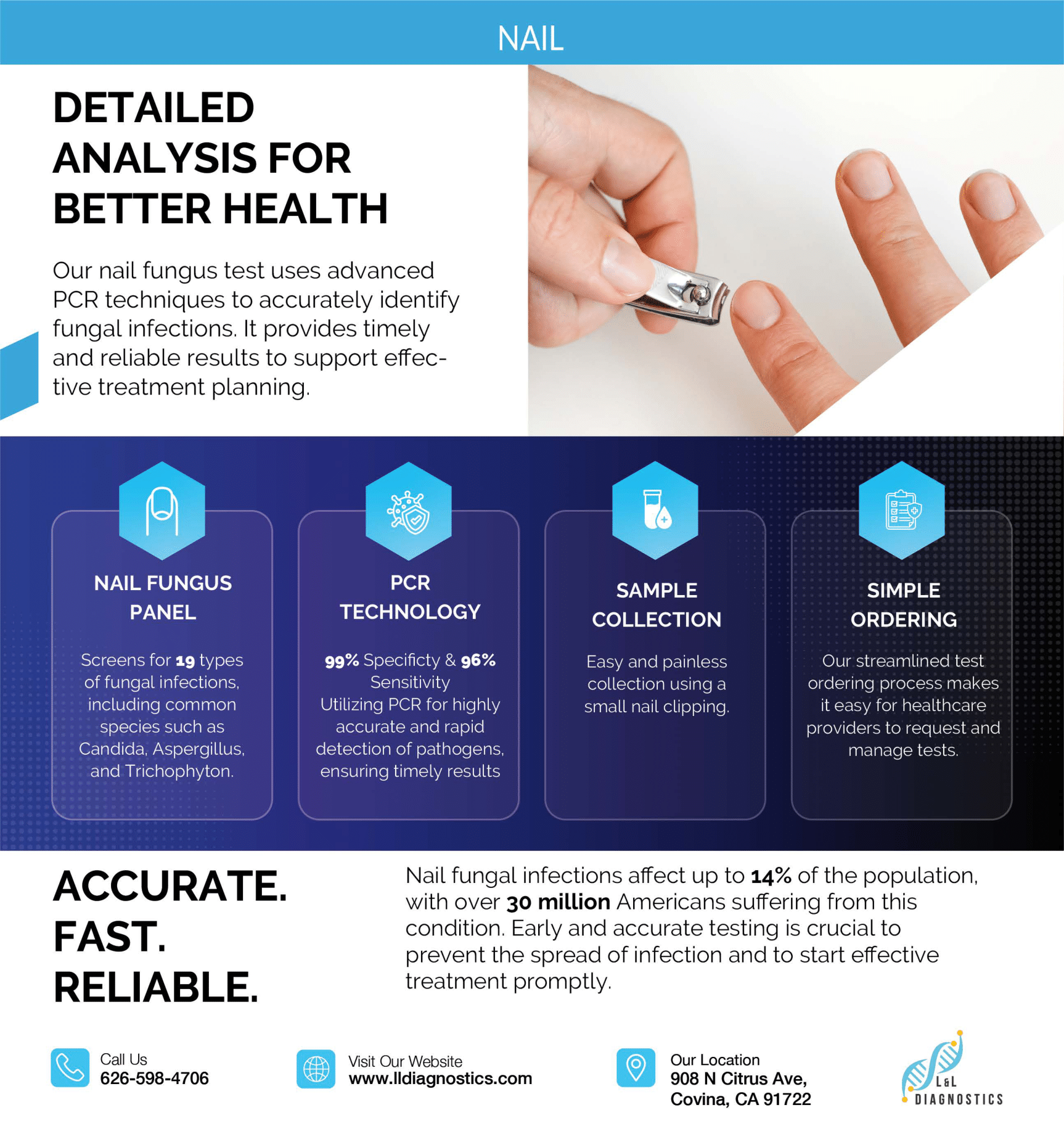 Flyer 6