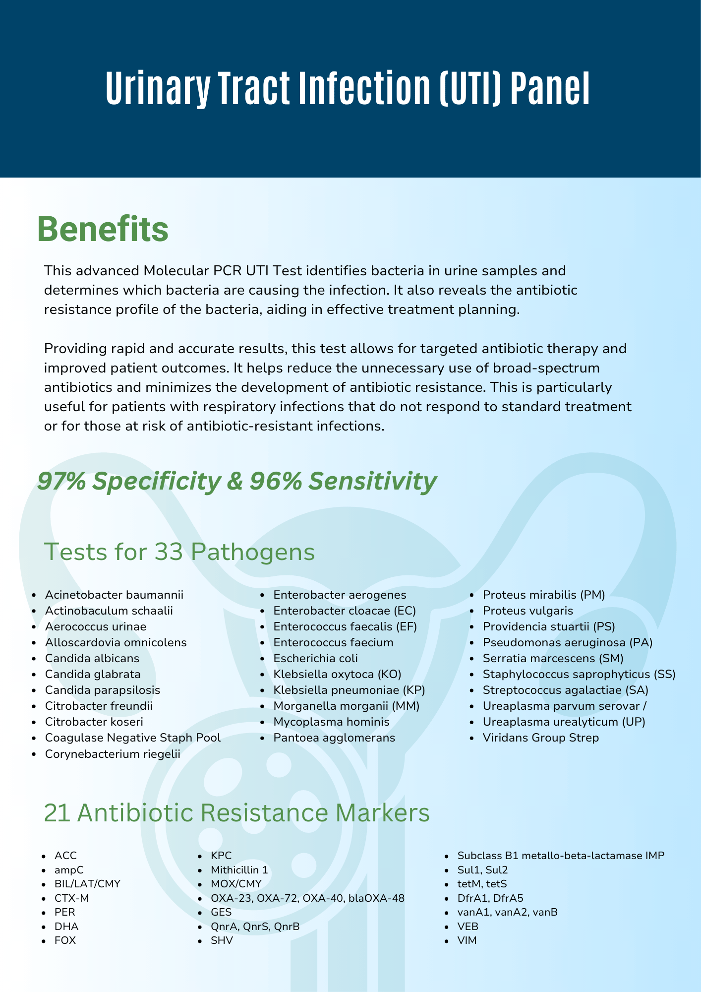 Flyer 4