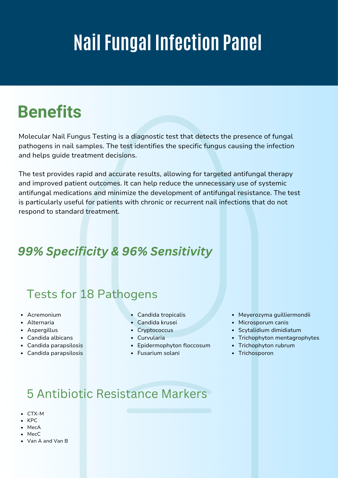 Flyer 6