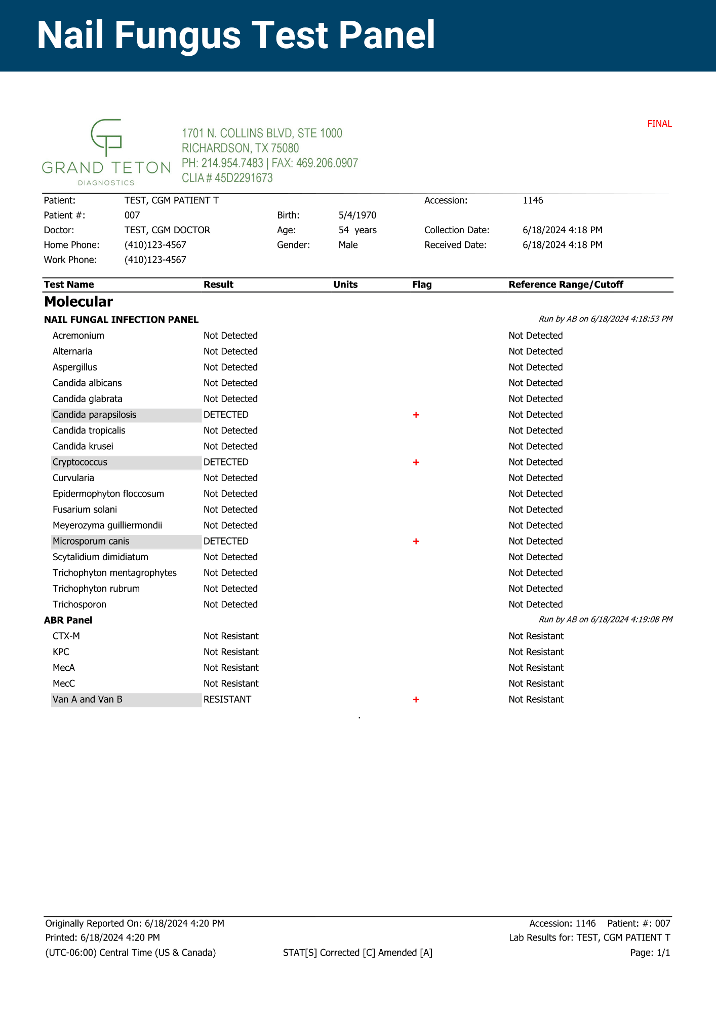 Flyer 11