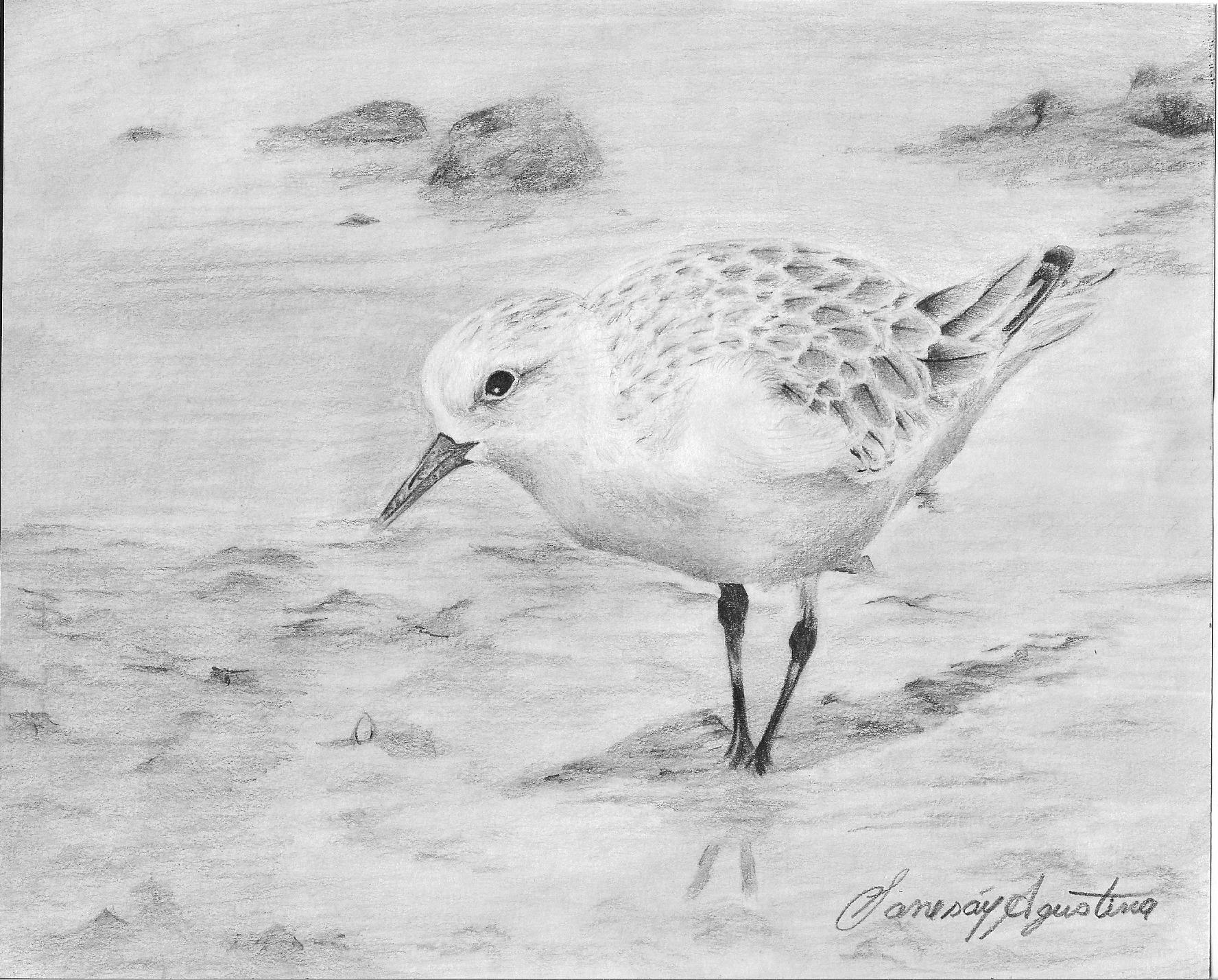 Miniatura de la galería de Dueños de la tierra