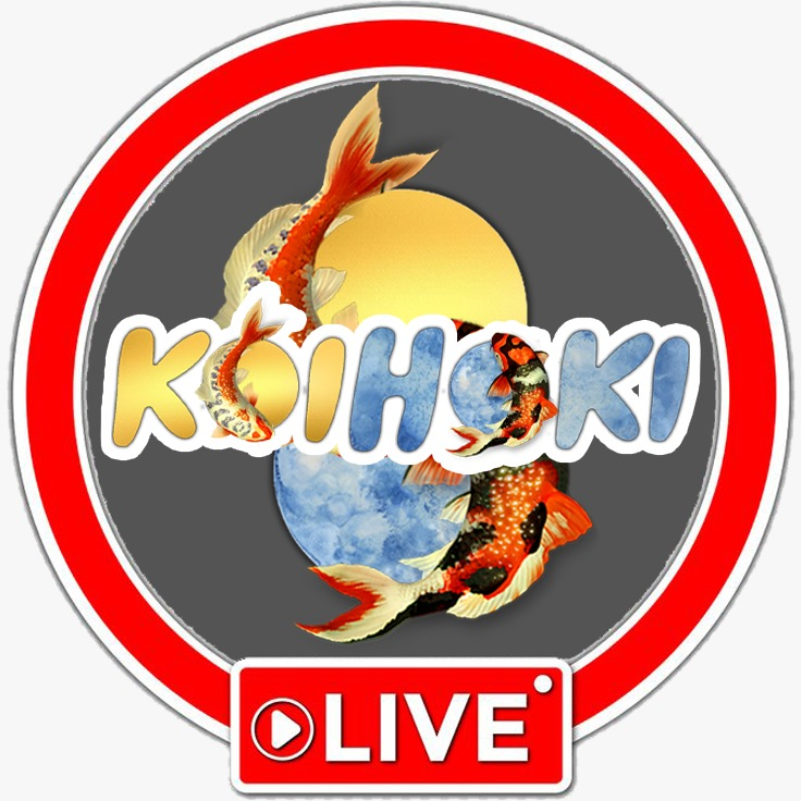 KOIHOKI