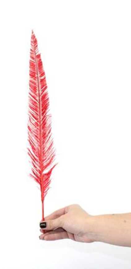 PLUMA