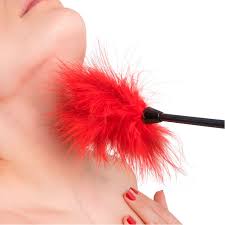 PLUMAS