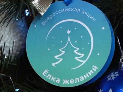 Депутаты ГСС Сос Мартиросян и Микаел Багманян приняли участие во всероссийской благотворительной акции «Ёлка желаний»