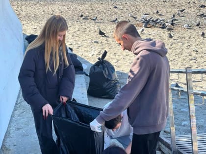 Экологические акции в Сочи: участие жителей в уборке побережья