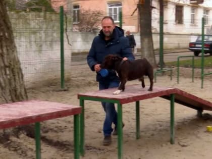 В ЦЕНТРАЛЬНОМ РАЙОНЕ НОВОРОССИЙСКА ПОЯВИЛАСЬ ПЛОЩАДКА ДЛЯ ДРЕССИРОВКИ ЖИВОТНЫХ