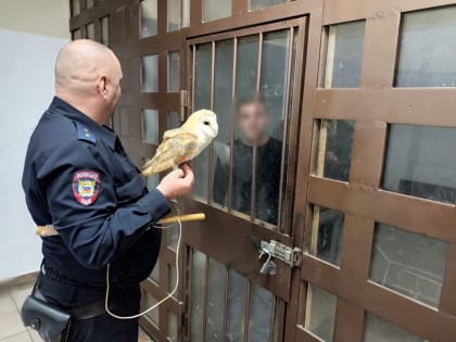 В Сочи задержали очередного фотографа-живодера