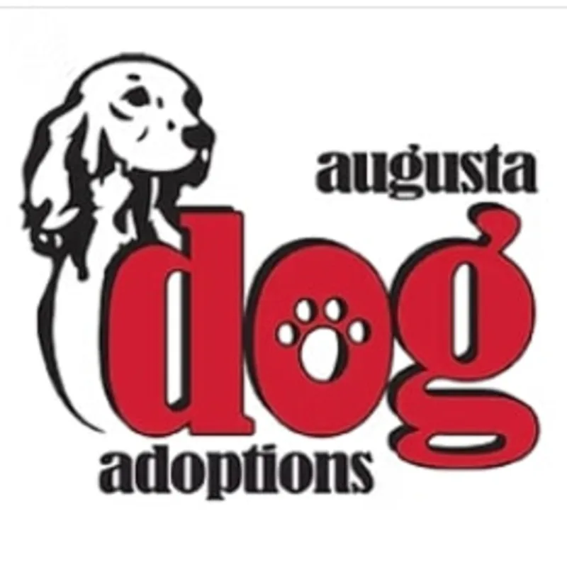 Augusta Dog Adoptions