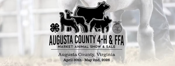 May Flea Market