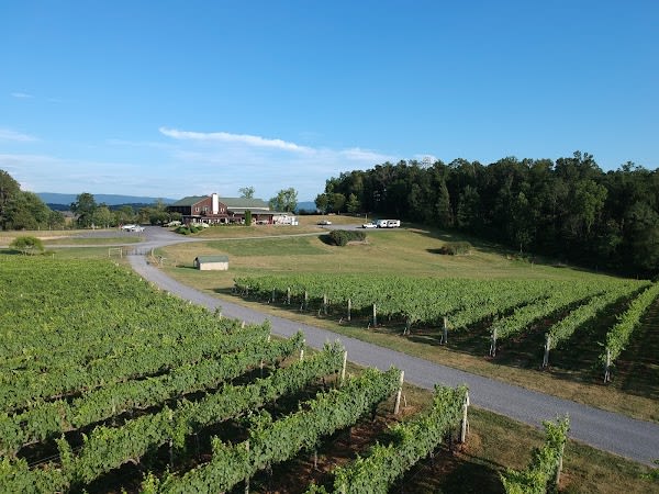 Barren Ridge Vineyards
