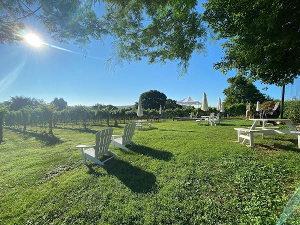 Montifalco Vineyard