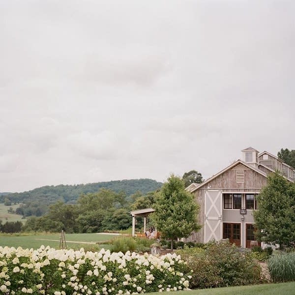 Pippin Hill Farm & Vineyards