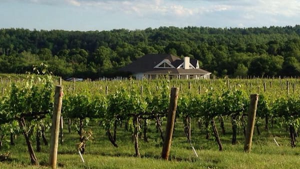 Pollak Vineyards