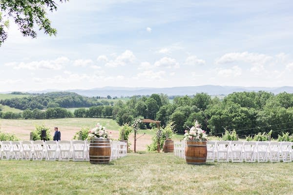 Bluestone Vineyard