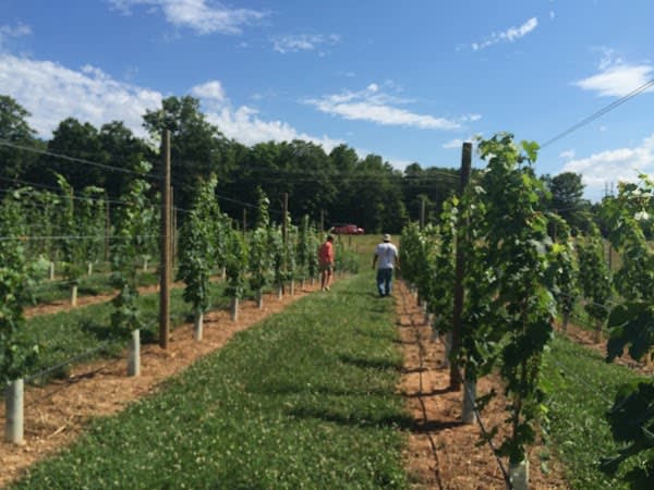 Cunningham Creek Winery & Brewery