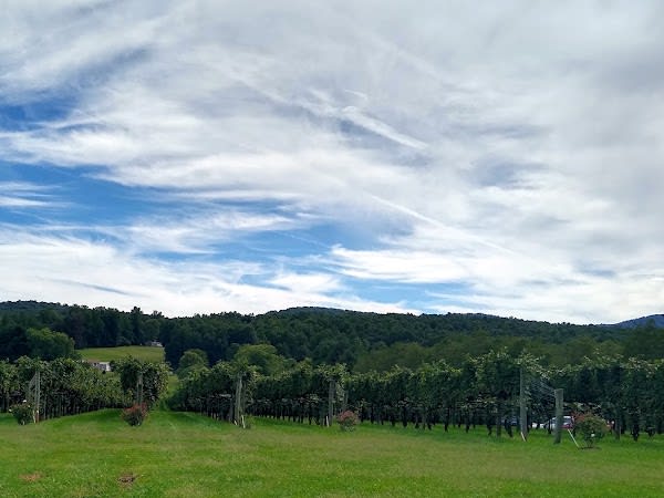 Horton Vineyards